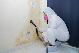 Best Commercial Mold Inspection  in Hoopa, CA